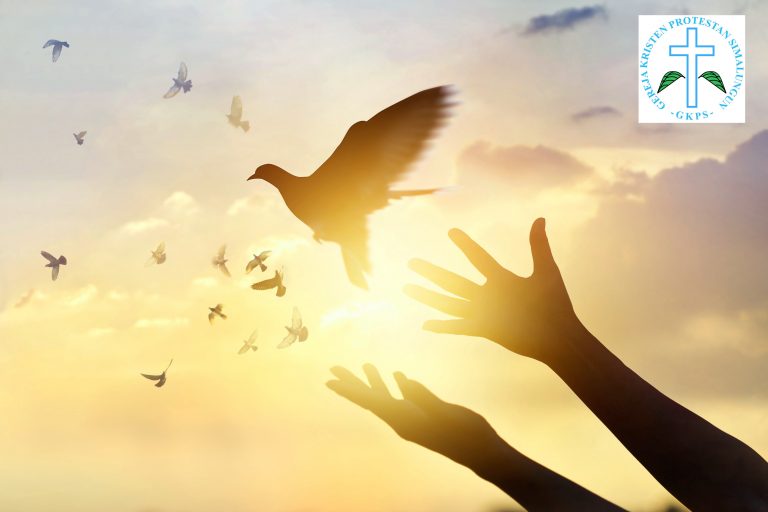bird-flying-copy