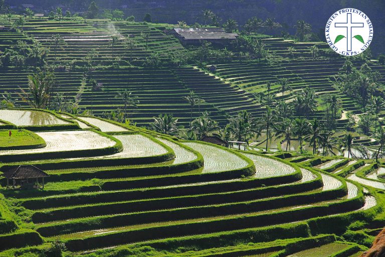 uluwatu-bali-jatiluwih_rice-fields